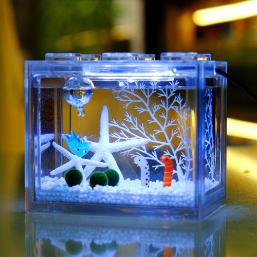 Wonderful House Seaweed Ball Micro Landscape Ecological Tank Fish Tank Desktop Mini Hydroponic Plant Small Potted Creative Gift