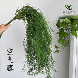 单只绿植树叶热带植物叶子婚庆空气藤花艺软装造景悬挂垂吊空气草