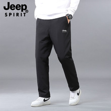 JEEP SPIRITqѝж\ӱůӽqӺLѝq