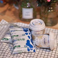 【Garden Agency】Xinjiang Shihezi Ice Cream Concentrated Yogurt 120g*12 Full Carton Factory Wholesale Distribution