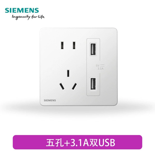 Five -hole dual usb