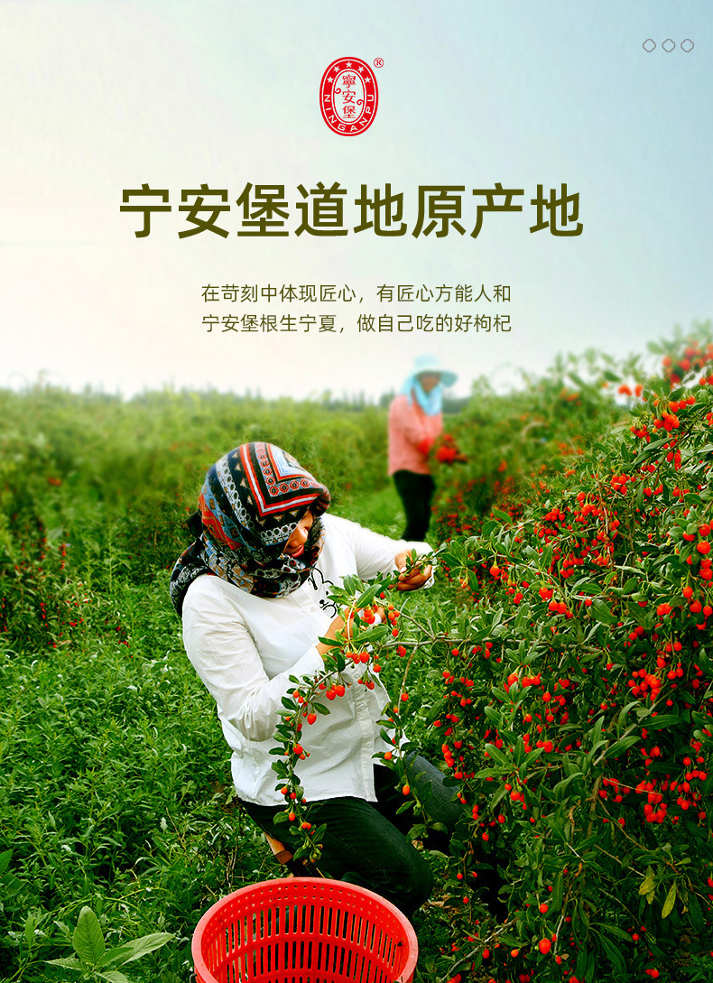 Ningxia Goji Berries Ready to Eat Premium Grade 250g Boxed Dried Wolfberry preparation