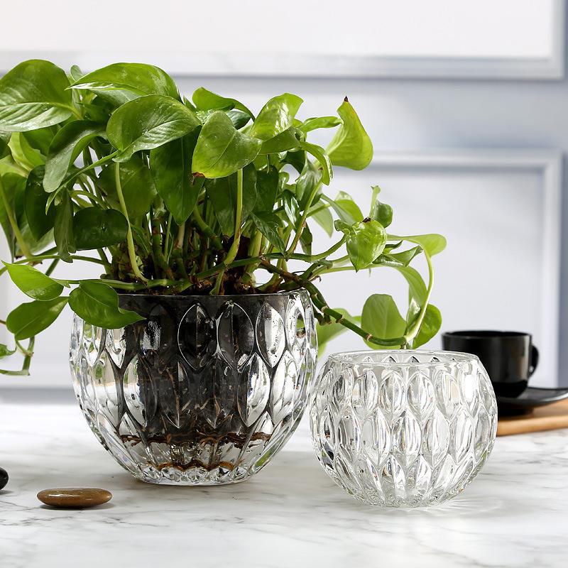 小花瓶玻璃水培瓶摆件铜钱草植物花盆绿萝花瓶透明客厅插花水晶球