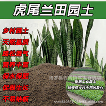 ��β�m������@�������S���N�仨����ͨ��ɳ���N�����ЙC���Nֲ��