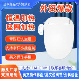 智能马桶盖即热式加热冲洗通用220V英文跨境外贸工厂批发贴牌定制