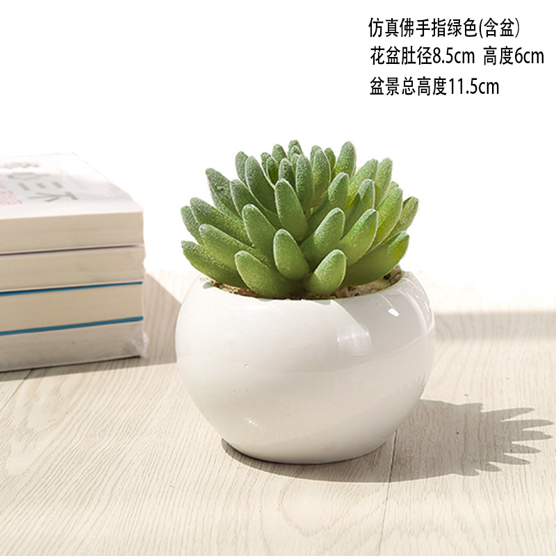 부처님 손가락 녹색 + 세라믹 분지