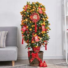 ������Ԏ��������������_�I���w��ۘ������ɰ�ٿ͏d��ؔ�ļ���