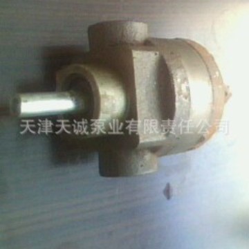 小流量转子泵TDZZJ/耐酸碱盐转子泵/不锈钢转子泵/