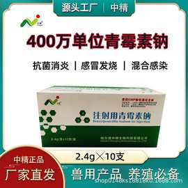 400万注射用青霉素钠 每盒10支 50盒/箱 青霉素 兽用 抗菌消炎药