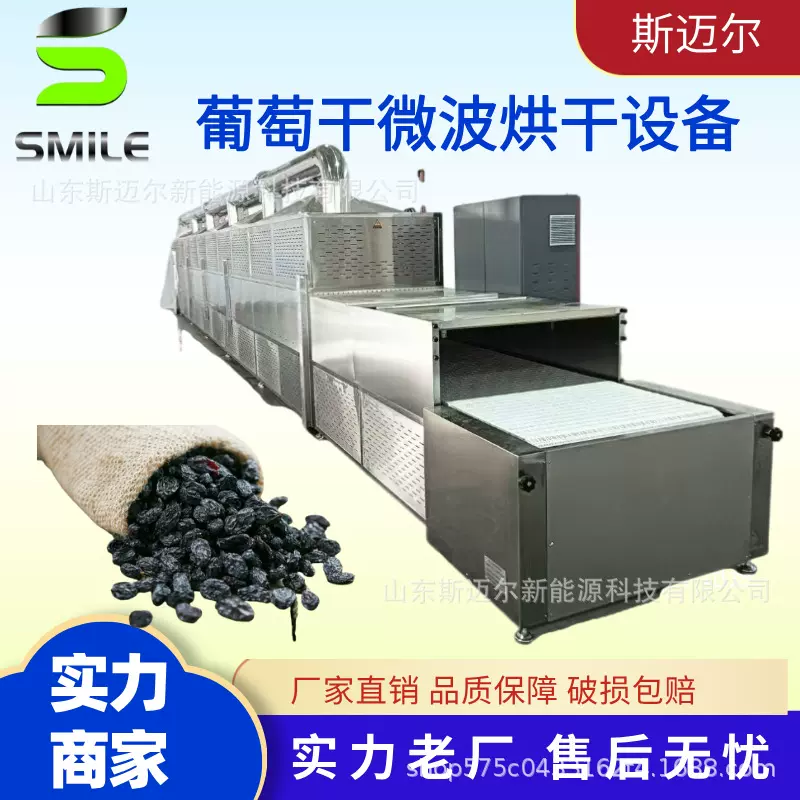 斯迈尔源头工厂隧道式微波葡萄干烘干设备 大枣干干燥脱水设备