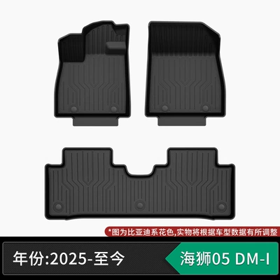Suitable for BYD, TPE custom-made car mats, automotive-grade craftsmanship, eco-friendly material, zero formaldehyde, non-slip and wear-resistant (Modelə uyğun ayaqaltı) - 25-models-of-byd-sea-lion-05-dm-i-single-layer-tpe-floor-mats