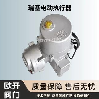 RAGA 瑞基 电动执行机构 RJ100 智能角行程 全系列供应