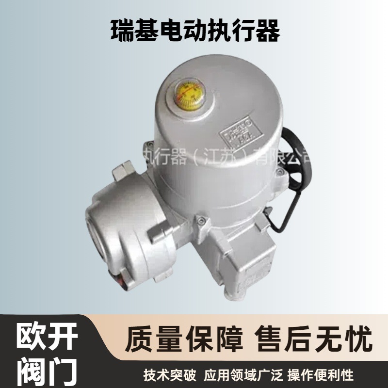 瑞基电动执行器电源板RAⅢ7A，RAⅢ30A，RQIII008供应