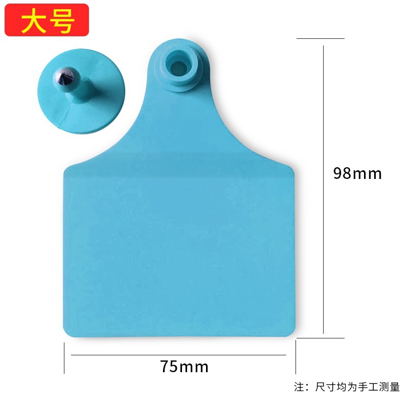 Gran división en blanco azul