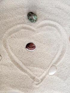 ��Ȼ�~�׵�ɰؐ��ɰ����ɰ��ɳ�����eɳ�~���쾰�b����ľ�зɳ