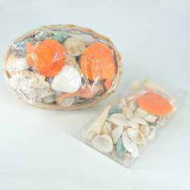 天然海螺贝壳海星鱼缸造景装饰摆件贝壳批发工艺品布景材料包道具