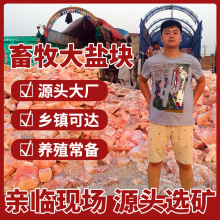 �ͻ�˹̹Դ�^�M���̸ۿڎ췿�F؛���l��K���}�߼�ţ���������}�u