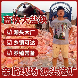 普通照明台灯;装饰台灯;其他非金属