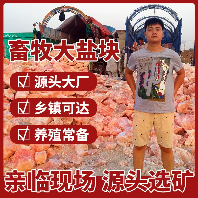 巴基斯坦源头进口商港口库房现货批发大块舔盐高级牛羊畜牧用盐砖