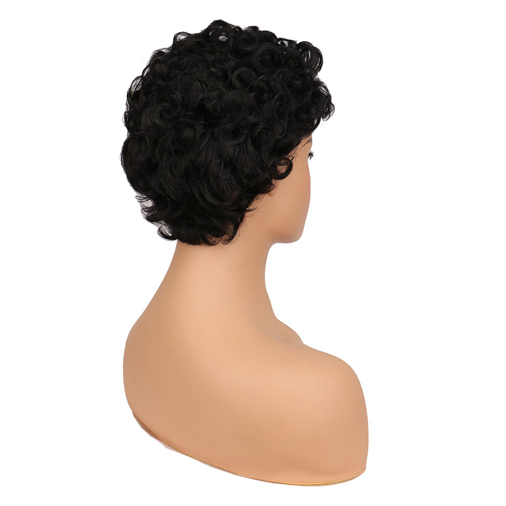 Fashion Short Curly Hair Female Fluffy Short Curly Hair Wig display picture 10
