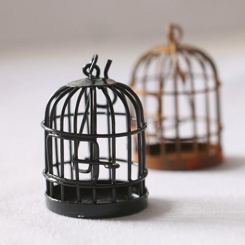 Ironwork Rust-Effect Birdcage Garden Patio Succulent Decorative Flower Basket Miniature Landscape Hollowed-Out Lace Wall Hanging Home Decor