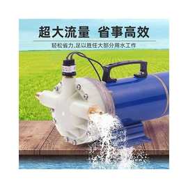 高压泵全自动打药机12V48V60V喷雾器五缸隔膜泵车载打药泵冲肥泵