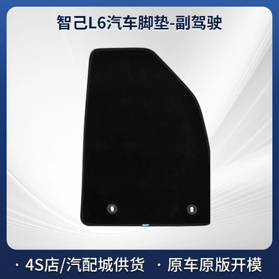 Zhiji L6 Car Floor Mats Modelə uyğun ayaqaltı - zhiji-l6-car-mat-co-pilot