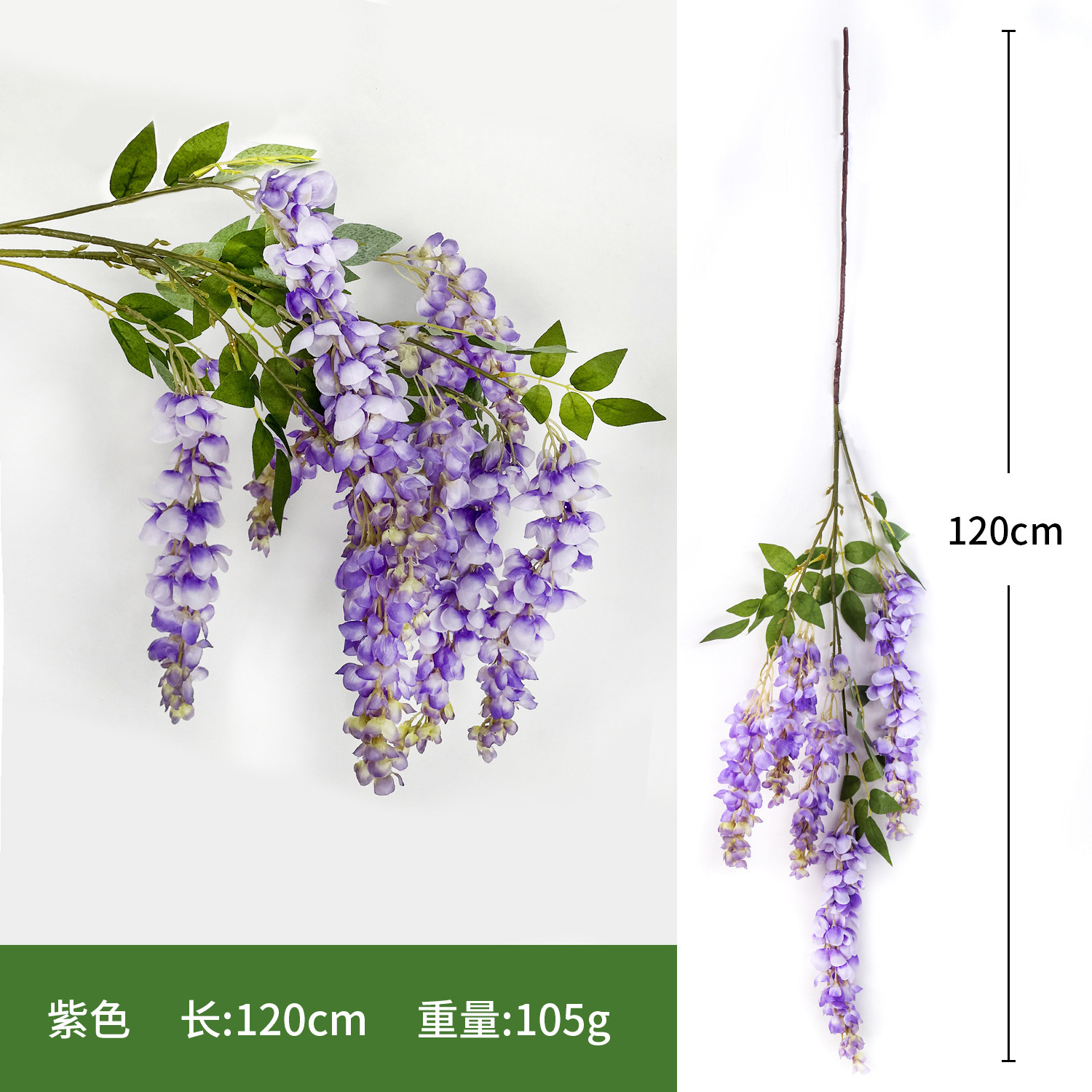 Abler Wisteria Purple mejorado de cinco puntas