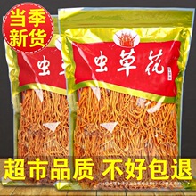 虫草花干货正品2026新货无硫农家特产食用菌菇类煲汤金北虫草商用