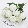 PS-2020-29 Light Ou Xiaolu 1#