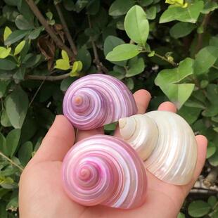 ��Ȼ����ؐ����ɫ�ɹ⺣�ݼľ�з��Q����ؐ�~�C�~��ˮ���쾰�b�