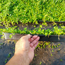 ���Ҵ�����@�������`̤�ر�ֲ���_����ƺ��ͥԺ�ͺ������޸�ֲ��