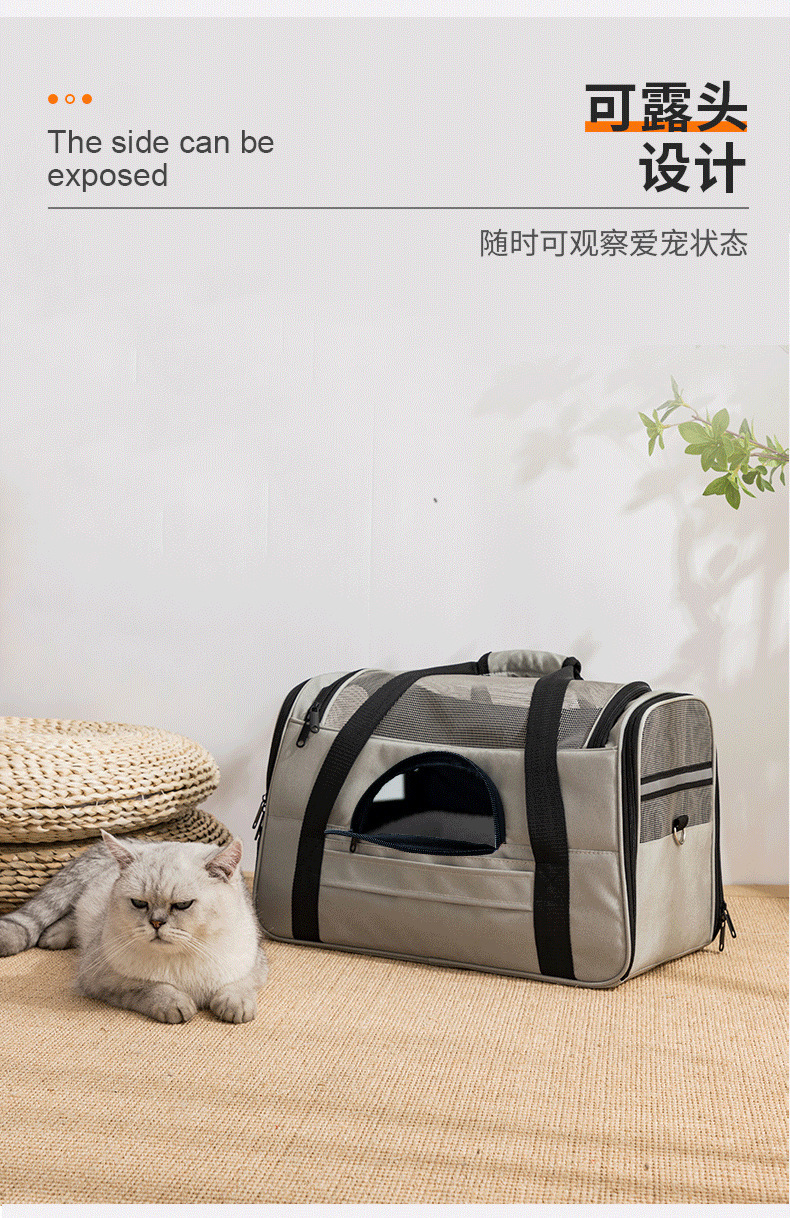 O1CN01HO1MLN2DFh6oomaPk_!!2212347688580-0-cib.jpg?__r__=1690599113714