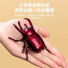 �羳������朗l���M����񶷼��x���������xģ�̓�ͯ�^���������