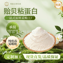 �Oؐճ���� �����Oؐ���z����ȡ��ɭ������]����r�񃞻�