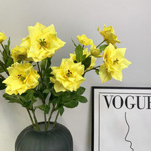 ���滨���bٻ����^�F��ɏ ��ɏ�� ���滨���l��c�����zӰ�廨