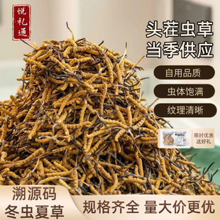 �^���x��Ұ�����x�Ĳݸߺ����^�ڶ��x�Ĳݸ�؛�a��ֱ�lԴ�^���l