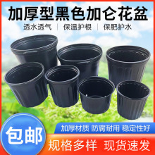 �Ӂ����ɫ�Ӻ�͸�⻨�����϶���@�ֻ��܈@ˇ�̨�Nֲ���������l