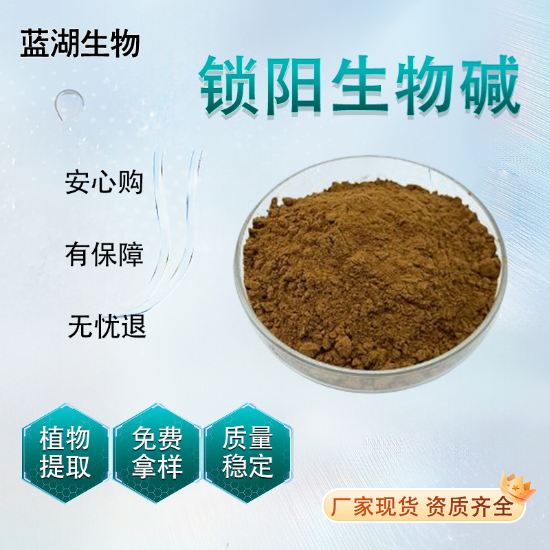 锁阳生物碱多规格 锁阳提取物蓝创生物 锁阳粉资质齐全