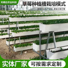 ɽ|lݮwNֲ rI@^߲aNֲPVC߼ܲݮ