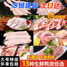 大用好味道鸭货生鲜冷冻批发鸭头鸭脖鸭翅鸭锁骨鸭肠鸭掌鸭舌鸭肉