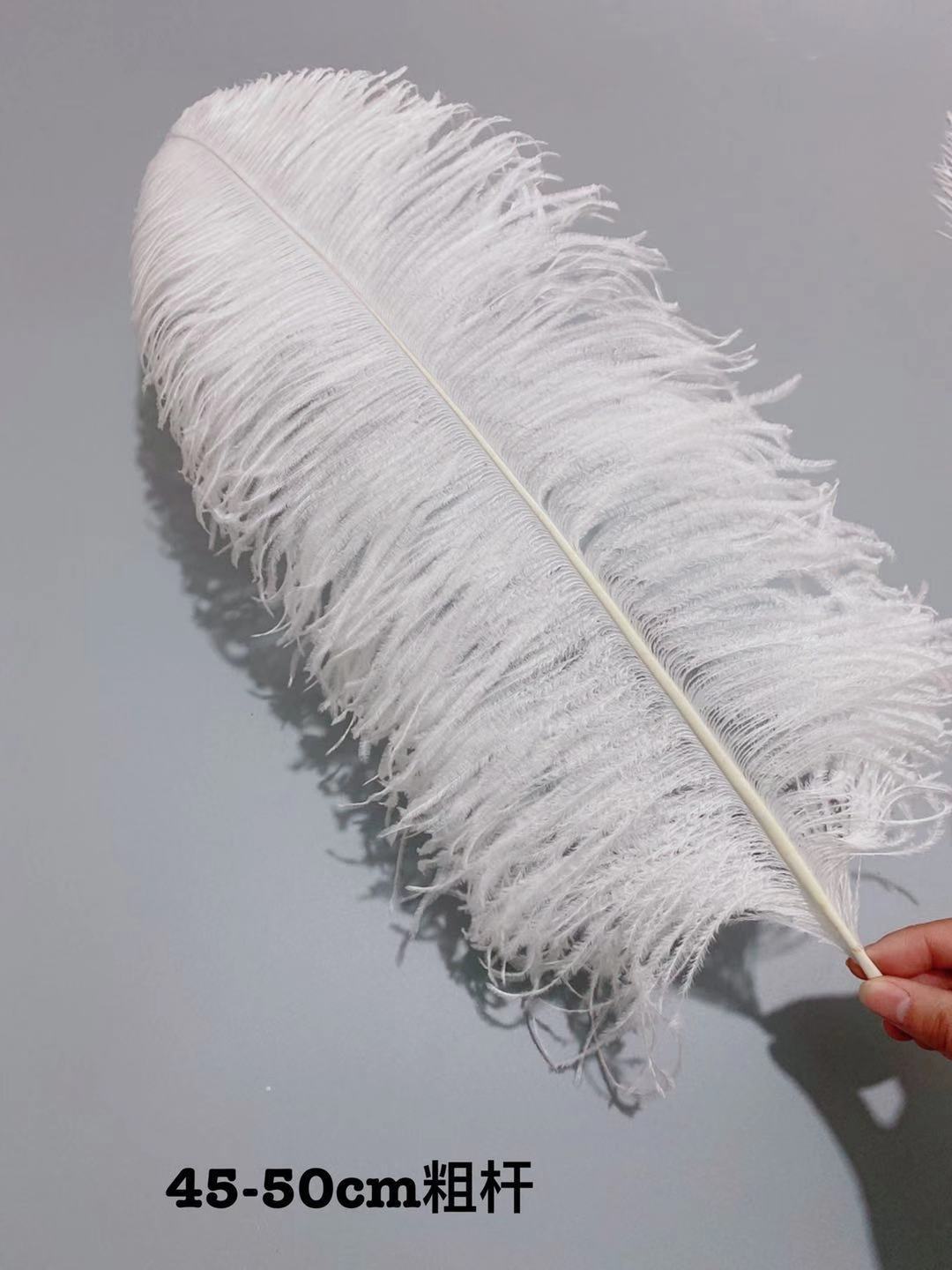 86c30d71780aea29b4a8a58ccceac1