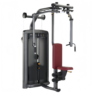 Commercial gym sitting deltoid muscle strength instrument straight arm chest clamp trainer butterfly anti-bird machine