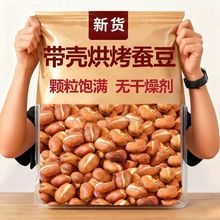 新货烘烤蚕豆胡豆原味带壳烘烤蚕豆无盐坚果礼盒蚕豆毛豆