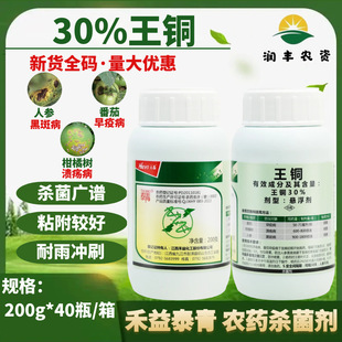 ����̩��30%���~ �������߲����٘��˅��ڰ߲��rș������