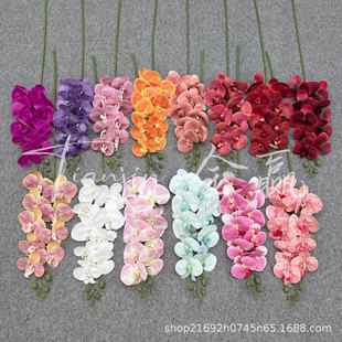 3D��ӡ9�^�zƬ�����m��c�Ҿ��b��滨����Ӱ�ǔzӰ���Q�羳