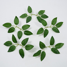 ���滨õ���~�ջ��~�����~����õ���~�����~�ӱ��������廨�~���~