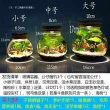 生态瓶微景观水族箱造景斗鱼缸办公桌面客厅玻璃球微