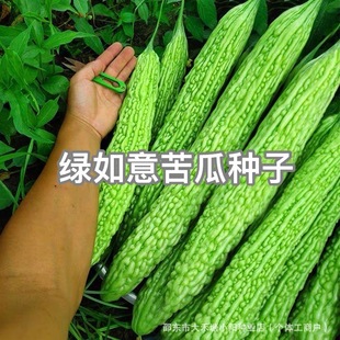 �G�����ϷN�Ӹ߮a�����G����G�׿�ϷN�Ѵ����ļ���ͥԺ�߲�