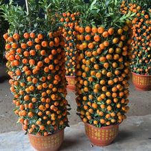 ��ۘ����Ԏ������������Ә�����辰�ļ����҃��̨�ļ��_���Y��